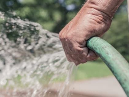 Операция «Водолей»: полицейские устроили облаву на поливающих газоны французов