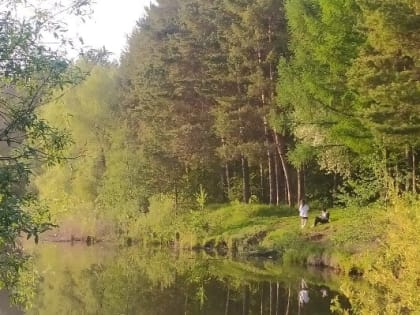 До конца недели в Удмуртии будет жара без осадков 