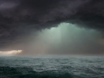 В Сочи упавшее дерево насмерть задавило человека