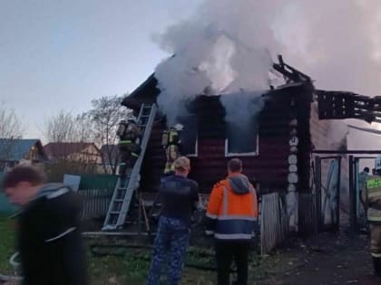 Вспышка птичьего гриппа в Удмуртии, отец-поджигатель в Игре и долги миндортранса