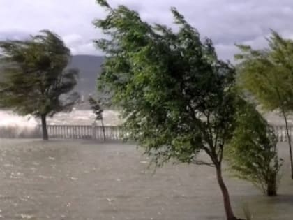 Оперативное предупреждение