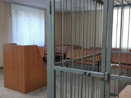 «Куртки замшевые — три…» Житель Воткинска осужден за кражи из магазина и угон машины