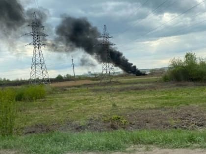 На окраине Ижевска сжигают карантинную птицу