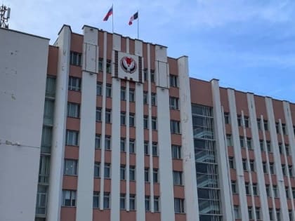 Молодёжный парламент Удмуртии могут наделить правом законодательной инициативы