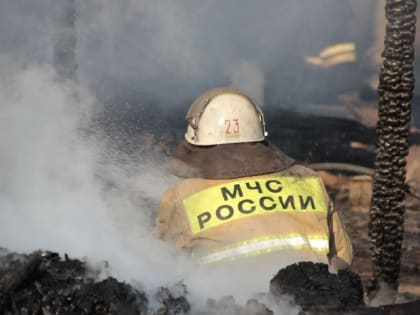 В Удмуртии из-за пожарной опасности запретили посещать лес