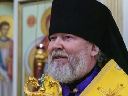 Рождественское послание епископа Сарапульского и Можгинского Павла