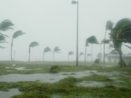 В Калифорнии из-за наводнений погибли минимум 20 человек