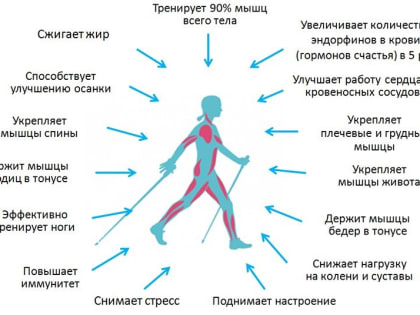 Приглашаем Всех желающих на мастер-классы по скандинавской ходьбе