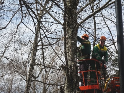 Глава минприроды узнал, что назначен ответственным за ликвидацию ЧС в Удмуртии