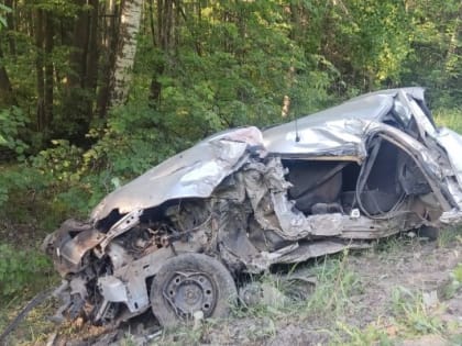 На дороге Ижевск-Аэропорт влетев в дерево погиб водитель «Рено Логан»