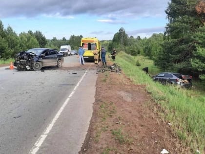 Женщина с двумя детьми пострадала в ДТП из-за пьяного водителя
