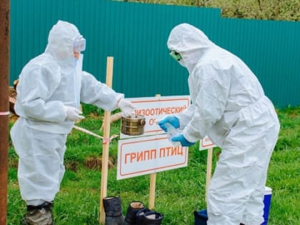 Случаев заболевания жителей птичьим гриппом в Удмуртии не выявили