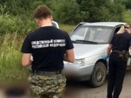 Попросил подвезти и зарезал: сарапульчанин арестован по обвинению в преступлении