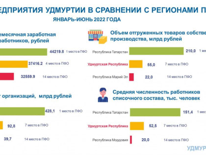 Малые предприятия Удмуртии в сравнении с регионами ПФО в январе-июне 2022 года