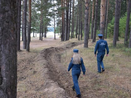 Устройство минерализованных полос