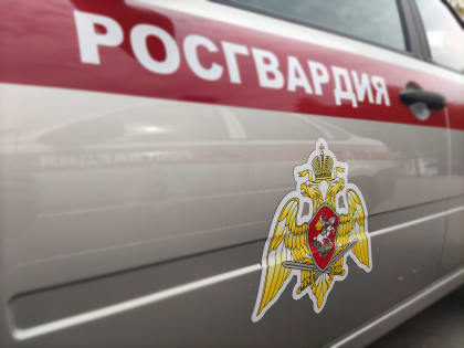 В Удмуртии сотрудники Росгвардии разыскали угнанный автомобиль и задержали предполагаемого угонщика