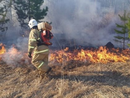 В Малопургинском районе Удмуртии за сутки случилось несколько природных пожаров
