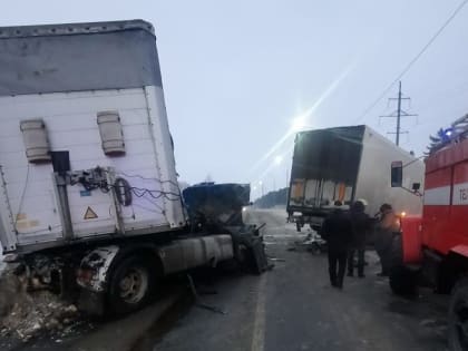 Двое сотрудников уголовного розыска и их знакомый насмерть разбились в ДТП в Удмуртии