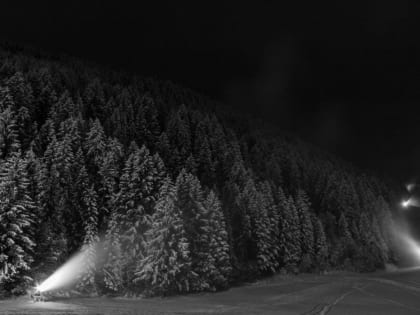 Заблудившихся в лесу путников спасли в Удмуртии