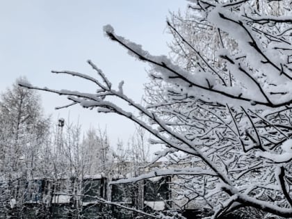 Днём 8 февраля в Удмуртии возможен небольшой снег