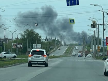 Изъятых у ижевчан домашних птиц сжигают в районе улицы Пойма