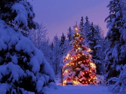 Более 200 лыжников стали участниками Рождественской вечерней гонки в Ижевске