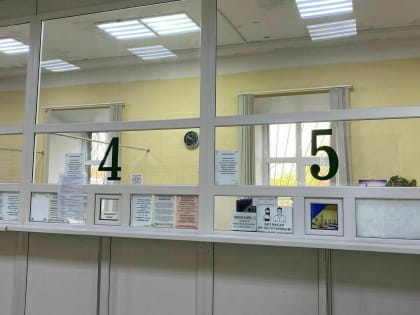 Птичий грипп атакует, после военных сборов — на СВО, 1 млн рублей пациентке
