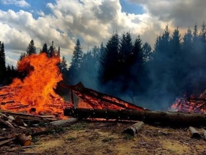 Пожарные не позволили огню перекинуться с пилорамы на лес в Малопургинском районе