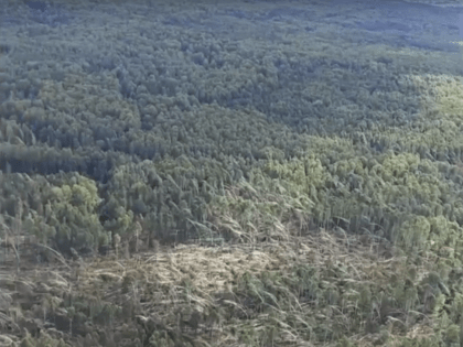 В Удмуртии обсудили планы по ликвидации последствий ветровала в лесах