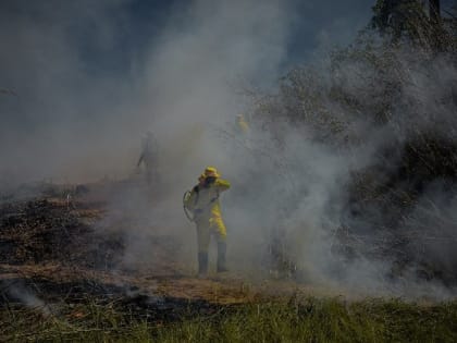 Пожар на закрытом мусорном полигоне в Можгинском лесничестве потушен