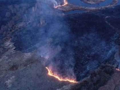 В Камбарском районе локализовали крупный ландшафтный пожар