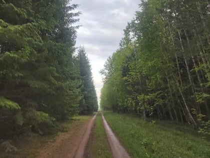 Между сквером оружейника Драгунова и Южным парком в Ижевске обустроят пешеходный маршрут