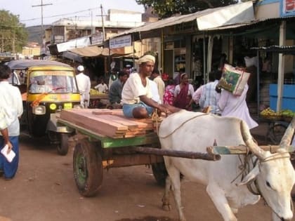35 человек погибли на дне гигантского колодца в индийском храме