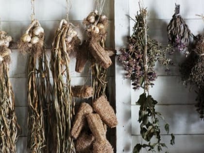 Более двух тысяч веников и сушеных трав экспортировали из Удмуртии в Австрию в 2023 году