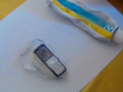 Абонент временно недоступен: в СИЗО не удалось передать телефон в тюбике с мазью