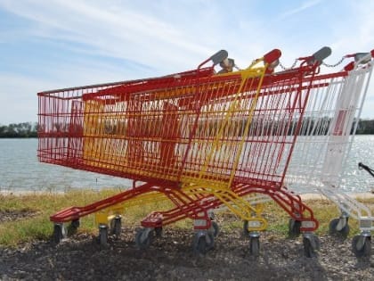 Продуктовые карточки взамен денежных пособий для малообеспеченных семей предложил ввести депутат Госсовета Удмуртии