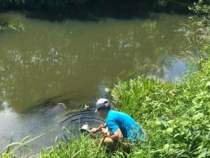 Руководитель минприроды о реке Ува: «Работаем на месте с прокуратурой и полицией»