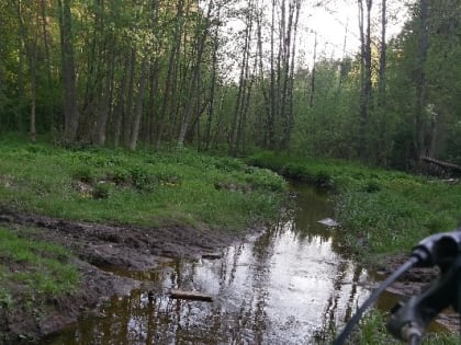 В Ижевске пройдёт субботник по очистке берегов речки Карлутка
