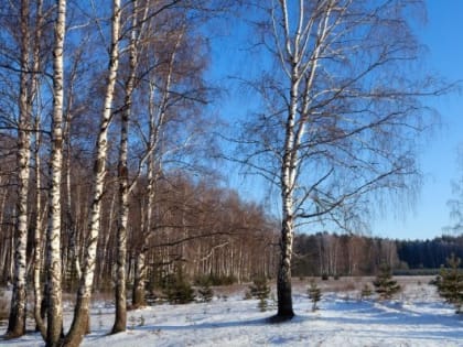 Малооблачную погоду без осадков ожидают в Удмуртии 16 января