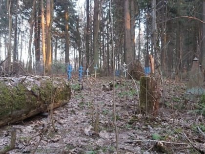 Завершение строительных работ в срок