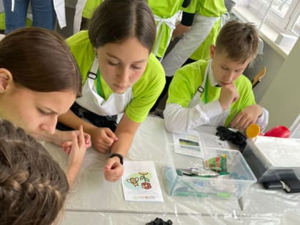 Стартовал новый сезон Всероссийского конкурса АгроНТРИ