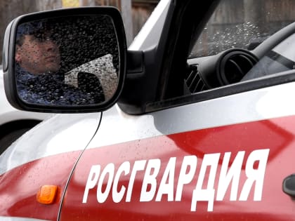 Сотрудники Росгвардии приняли участие в обеспечении общественной безопасности во время празднования Крещения Господня в Удмуртии