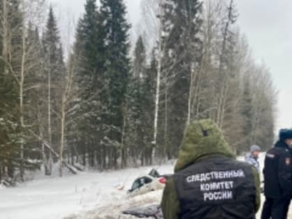 В Удмуртской Республике возбуждено уголовное дело по факту дорожно - транспортного происшествия, в результате которого погибли три человека