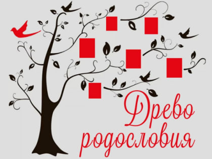 Курс «Древо родословия»: занятие третье