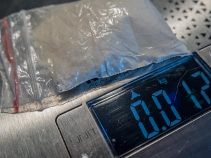 Почти 15 килограммов синтетических наркотиков изъяли полицейские в Удмуртии