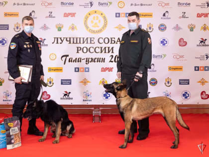 Кинологи и служебные собаки Росгвардии, принимавшие участие в СВО, отмечены всероссийской премией профессионального мастерства