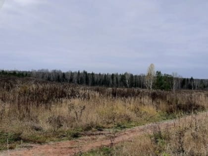 Выставка «Пение офисного рабочего в послеобеденном лесу» пройдёт в Ижевске