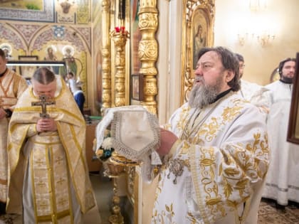 Архипастырское служение в Лазареву субботу