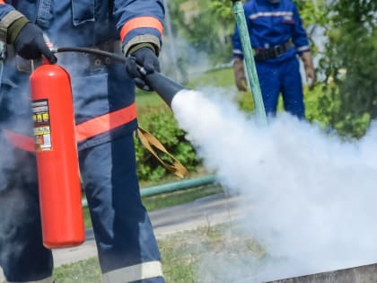 Бани и теплицы на двух садовых участках сгорели в Удмуртии