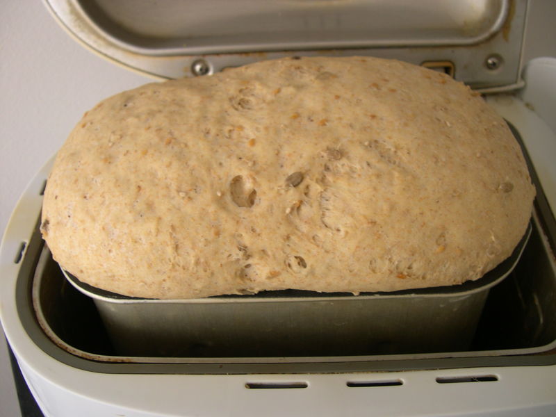 pains_complets_poolish_graine___2_